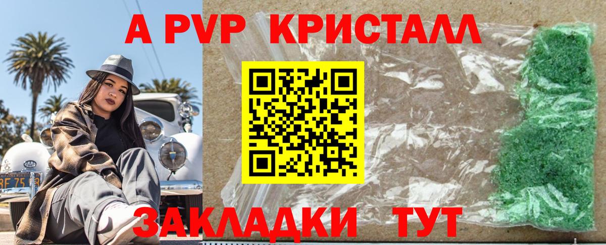 Альфа ПВП СК КРИС Губаха